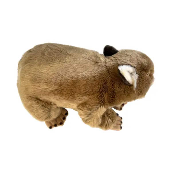 Georgina - Wombat - 42cm - Image 7