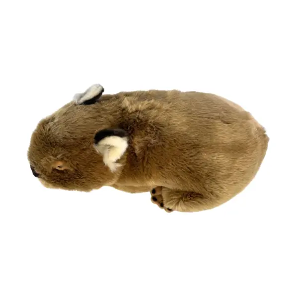 Georgina - Wombat - 42cm - Image 3