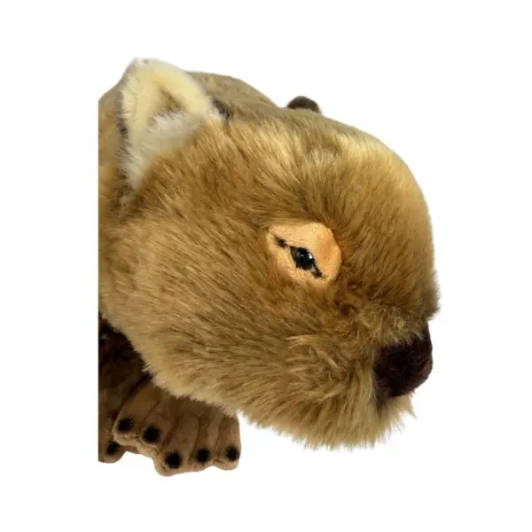 Georgina - Wombat - 42cm - Image 2